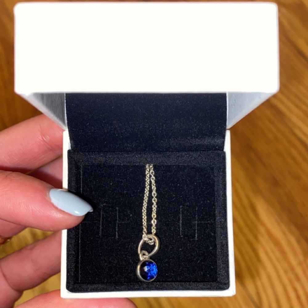 Pandora Necklace